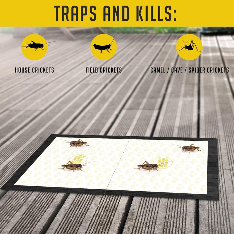 TRAP A PEST مصائد صراصير داخلية (12 مصيدة) مصائد لزجة كبيرة الحجم - مصائد لزجة غير سامة للصراصير - مصيدة صراصير داخلية برائحة فواكه مسبقة الطعم - مصائد لزجة للحشرات للصراصير - - Image 5